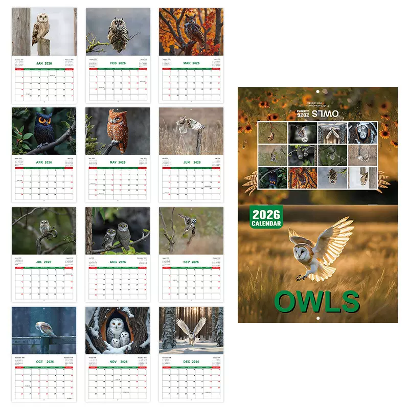 跨境新品2026年 OWLS 猫头鹰日历 墙面12个月骑马钉搞怪挂历现货