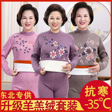 �����˱�ů���¼ӽq�Ӻ����b�����������ɖ|����̫̫������ѝ����