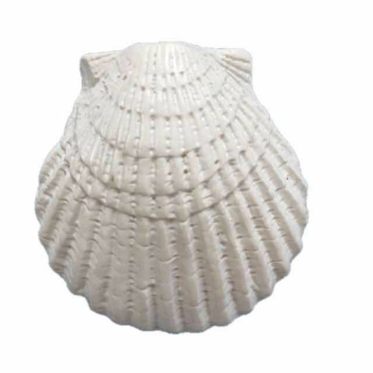 Supply resin starfish Mediterranean style fish tank ornaments