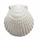Supply resin starfish Mediterranean style fish tank ornaments