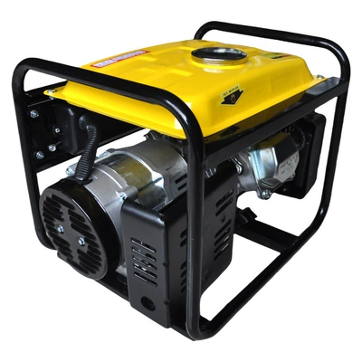 Standard 220V European Standard 1Kw – Avtomobil generatorları