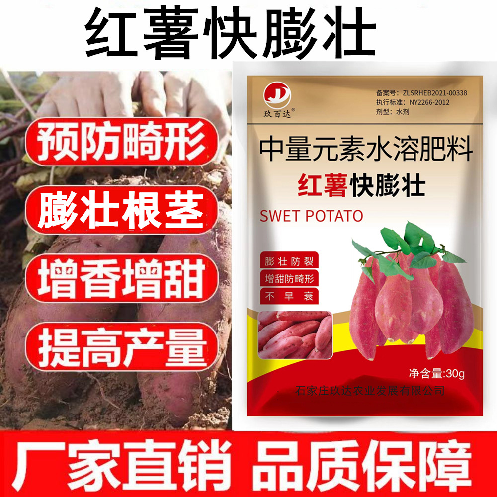 Phân bón đặc biệt giúp nở rễ ngầm, kích thích tăng trưởng khoai lang, chất làm ngọt, dung dịch kiểm soát tăng trưởng khoai lang tăng năng suất, phân bón hòa tan trong nước.
