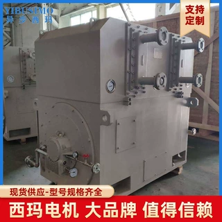 十二级 立式IMB5西玛牌绕线6KV高压三相异步电机YKS4501-12 220KW
