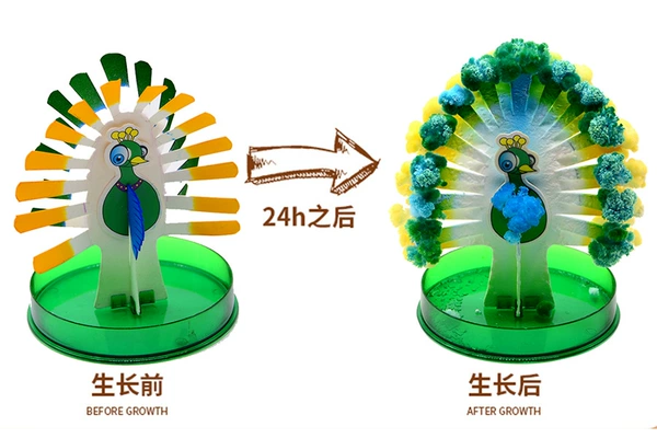 Peacock opening screen
