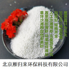 ʯӢɰ �ʰ�ɳ ����ɳСʯ�� �@�־��b����잩 �Ƶ꟟��Ͱӡ����