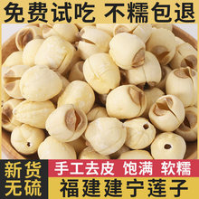 ��������ɏ��2025���r��؛�ֹ�ȥо��о��ɏ���خa�o��500g��ș��