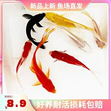 С���~���~��ˮ�~��ˮ�^�p�~�~���\�a���B�Pβ�~С�Ͳݽ��~�\���~