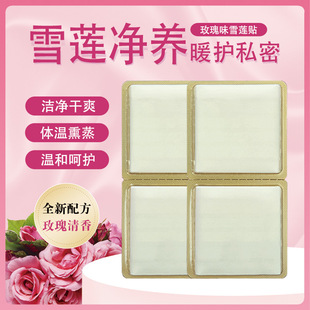 Snow Lotus Patch Pad Manufacturer Wholesale Gynecological Private Parts Care Patch Antibacterial and Deodorizing Kuaishou Douyin O Em Wholesale Low Price