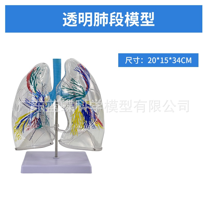 ��Ȼ��������ķ�ģ�ͺ�����״�ٷ��������ϵͳ�β�������ʽ�ѧ