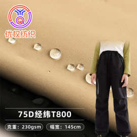 厂家供应 75D经纬T800涤纶布  防水服装外套休闲裤料T800面料批发