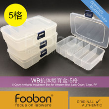 Foobon 5�� WB���w������ Western Blot #FB2023
