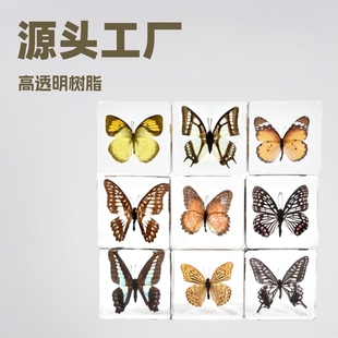 �羳���u���zչ�������֬��ˇƷ�b[���Y���ֹ����μo��