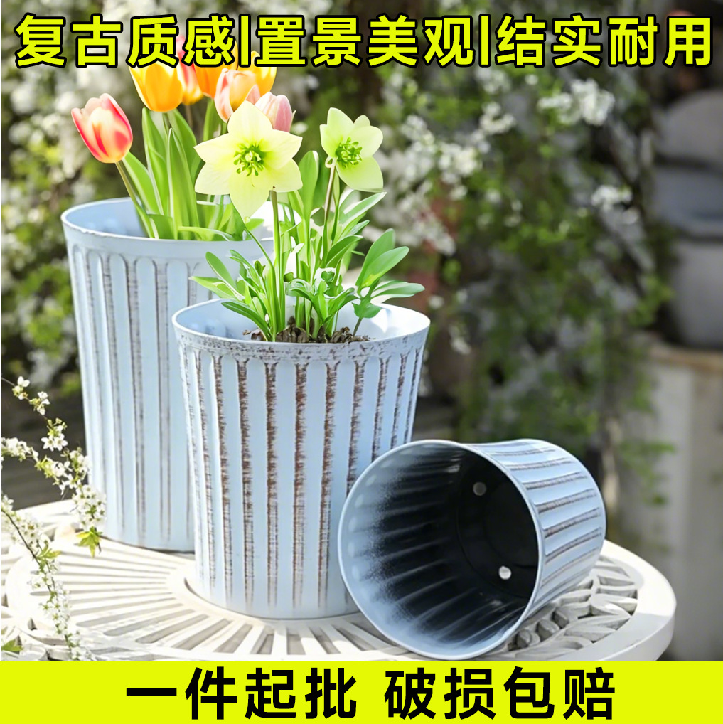 Venta al por mayor retro estilo europeo galón maceta de plástico maceta hogar Hortensia Rosa alambre Lotus resina maceta