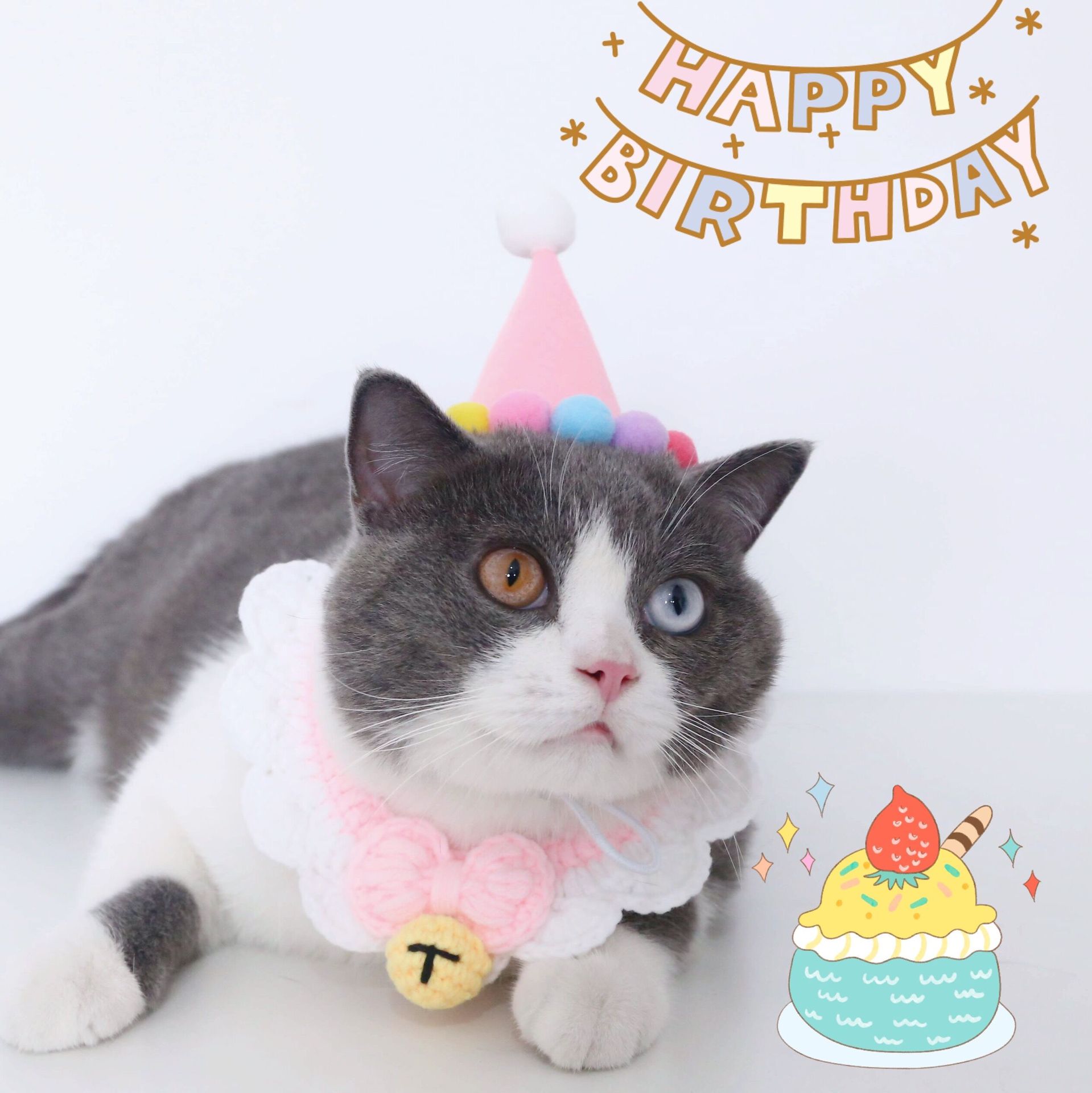 180g Weight Costume Props Event & Party Supplies Pet Hat Type Of Pet Supplies 1 Piece Quantity Daily Occasion Nonwoven Material Christmas Festival Color Block Pattern All Seasons Season Simple Style Style Simple Style Nonwoven Christmas Color Block Pet Hat 13