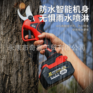 늄Ӽ���������֦�����ʽ����֦�늼����@ˇ��֦늼��Ӽ�֦����