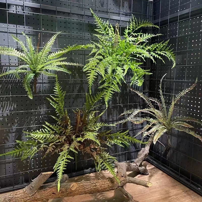 ペルシャのトルコの葉のシダの植物の偽の花の草の緑の葉の結婚祝いの柔らかい装飾の生け花の配材の背景の壁の装飾|undefined