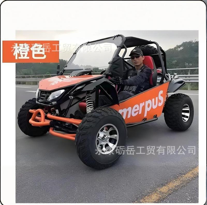 メーカーカスタマイズされた 2 人乗りオフロード カート 200cc 独立サスペンション大型 ATV 4 輪駆動カート|undefined