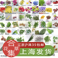 �[�P�b��͏d���ϴ���[�P���c�Y�����b�ֲ���b��[�P