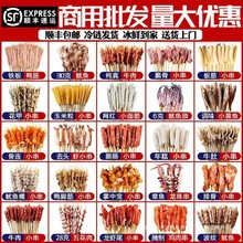 ʳFСlcţ⴮Сըɪվ