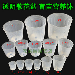 ����I�B���m������͸�����ϠI�B�����m���绨��ʯ������ֲ��Nֲ