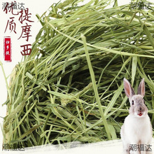 òݕĦݰݚwlጙĪɲüZ