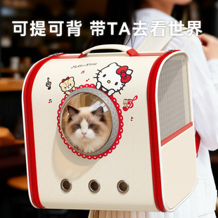 ��Ƥ����kitty ؈��̫��œ�p�����������y���؈�乷�������