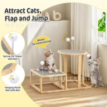 ľ�|؈�����Ɍ�؈ץ��ץ��|؈���Tʳ���҃���؈��؈��ľ�|ץ����