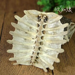 �����]����ș���M�����M���M����~��500g250g100g���NҎ��
