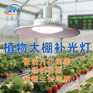 Nongshenghui Greenhouse Led Plant Fill Light Strawberry Leafy Vegetable Flower Fruit and Vegetable Plant Growth Light