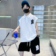 男童夏裝背心POLO衫套裝2024新款運動中大兒童夏季痞帥T恤短褲潮t