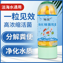 ���Ì������������z�҃�ˮ���w���ɷ�ˮ�|����ˮ���~�×U�����