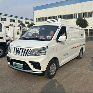 面包冷藏车 冷链物流运输车价格 纯电动面包冷藏车价格