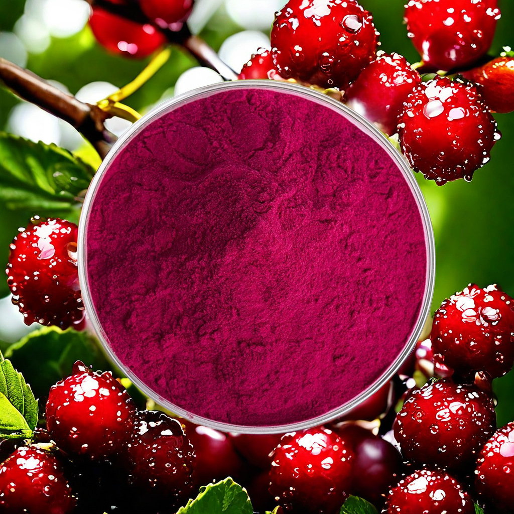 蔓越莓粉98% 蔓越莓原浆蔓越莓冻干粉蔓越莓提取物蔓越橘汁粉鹤莓