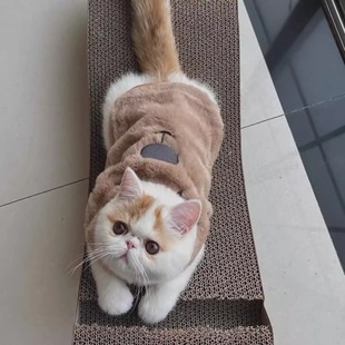 Autumn and Winter New Cat Clothes Warm Thickened Vest Muppet Cat Silver Gradual Blue Small Dog fleece-lined Cotton Clothes