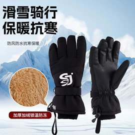 滑雪手套;成人手套