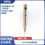 电动微晶导入仪 水光仪充电三档中胚飞梭仪MST纹绣五分钟粉唇仪