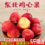 东北人工大果特产小苹果