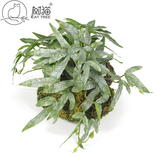 ��؈ާ�ֲ��3d��ӡ�Pβާ�~����ڒ컨�����b��m�������ϻ�