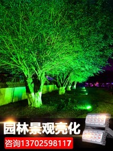 照树灯led七彩投光灯户外照明防水园林亮化景观庭院草坪灯射树灯