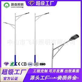 太阳能灯;景观灯;路灯