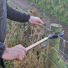 řڏorIřޏʹ̄䓽z͖řFz춲Ͻ