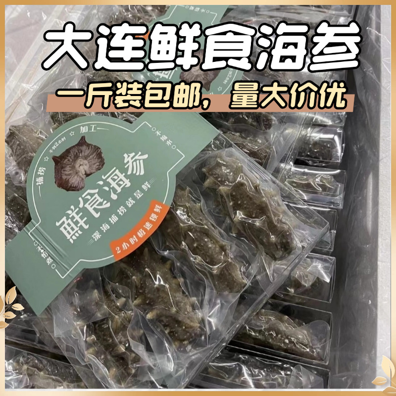 大连即食海参鲜食辽参一斤装鲜食海参即食海参批发产地直销招代理