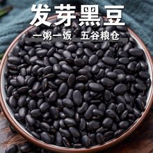 �lѿ�ڶ���؛�lѿ����С�ڶ��ڶ���lѿ�ʸ�����s�Z ѿ��f