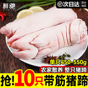 ���r�F���i��10ֻ��ֻǰ��ɢ�B�����r���i�_�i�֎���ɢ�B�i������