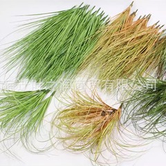 擬似玉ねぎ草葦草犬尾草蒲草偽草植物景観プラスチック小草偽葦草毛草