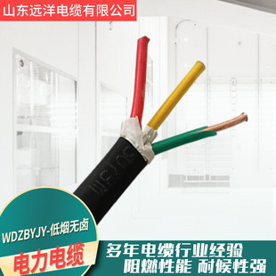 WDZBYJY-�͟��o�u�����| ��ȼ���� �|������ ���ٰl؛