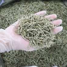 新茶兰妃花茶5斤起批浓香型花茶银针散装兰花花茶商用茶叶专供