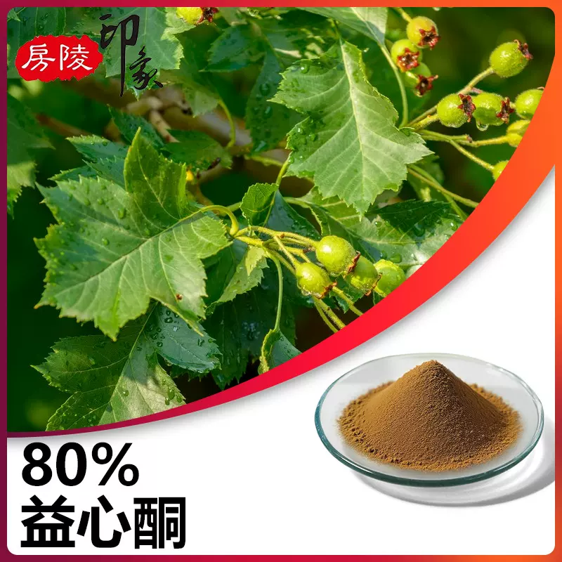 益心酮80% 山楂叶提取物黄酮类化合物山楂叶总黄酮粉