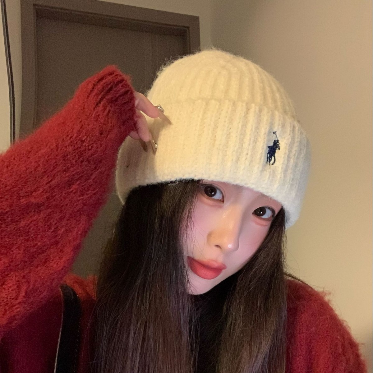 帽子女2025新款刺绣小马毛线帽秋冬季休闲百搭针织帽保暖包头冷帽