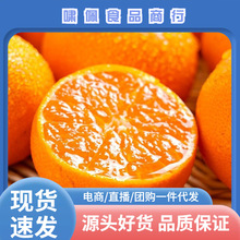 �㽭ӿȪ�۽ۮ������������������]���rˮ��ӿȪ�۽�һ�����l�̽�